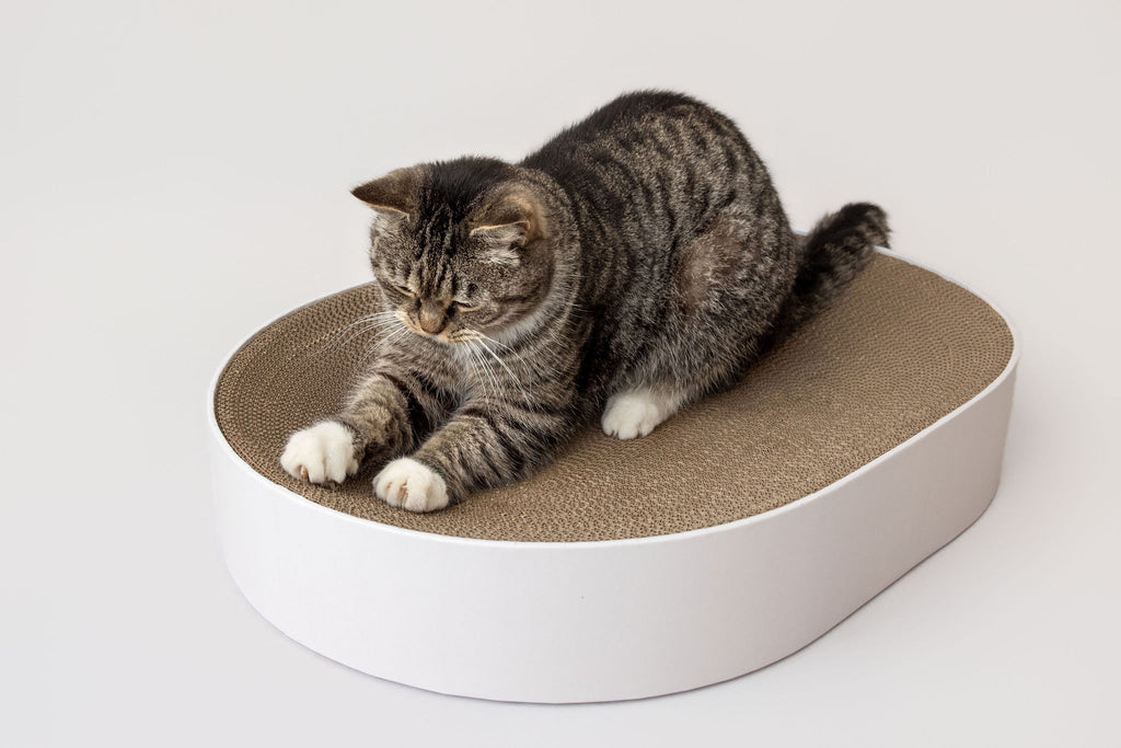 The PAUWZ Deluxe Lounger